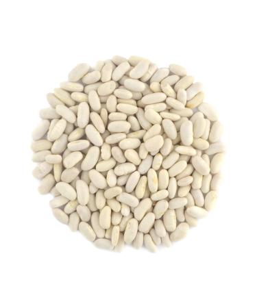 Organic Great Northern Beans ,Raw, non GMO, Vegan, Bulk (10LB) Organic Great Northern Bean 10 Pound