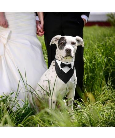 Dongker Dog Smoking Bandana Collar | Adjustable Wedding & Halloween Costumes for Small Medium Large Dogs | International Shipping - Buy Online on SooperMarket.com