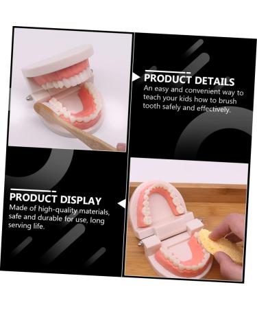 Buy Healvian 1 Set Early Dental Education Toy - Prosthesis Model for Toddlers | Reusable ABS Experience Learning - Buy Online on SooperMarket.com