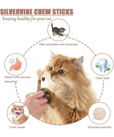 Tsathoggua 4 pcs Matatabi Silvervine Chew Sticks Natural Cat Chew Toy Catnip Toy for Cats Cat Sticks Cat Teeth Nip Cat Teeth Cleaning Kitty Dental Chew Stick Kitten Teething and Stress Release - Buy Online on SooperMarket.com