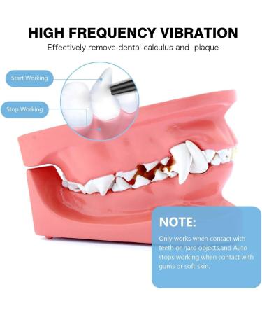 Dog Teeth Cleaning Tools with LED Light 3 Modes Dog Plaque Tartar Remover for Teeth Detachable Teeth Cleaning Kit for Dogs Cats Grey - Buy Online on SooperMarket.com