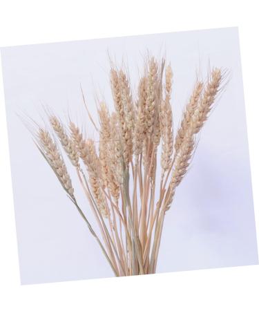 Cabilock Natural Dried Flowers 30 Pcs Natural Artificial Flower Decorative Artificial Flower As Shownx2pcs mediumx2pcs - Buy Online on SooperMarket.com