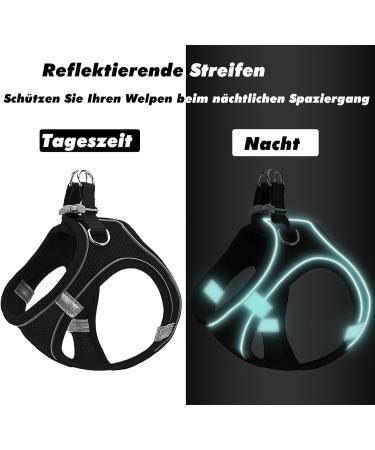 Shop Small Dog Harness & Puppy Dishes - Curli Harnesses & Catware for XS Dogs - Buy Online on SooperMarket.com