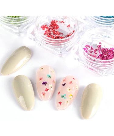 8 Boxes Dried Flowers for Nails | Nail Art Sticker Kit | DIY Nail Decoration Accessories - 8 Colors - Buy Online on SooperMarket.com
