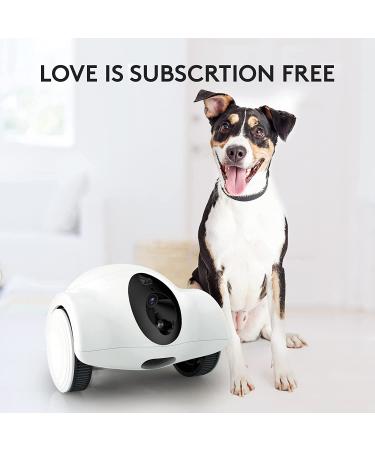 GULIGULI Smart Pet Camera: 1080P Full HD WiFi, Night Vision, 2-Way Audio, No Monthly Fee | Dog Treat Camera & Movable Companion Robot for Pets | Phone App Controlled (2.4G WiFi ONLY) - Buy Online on SooperMarket.com