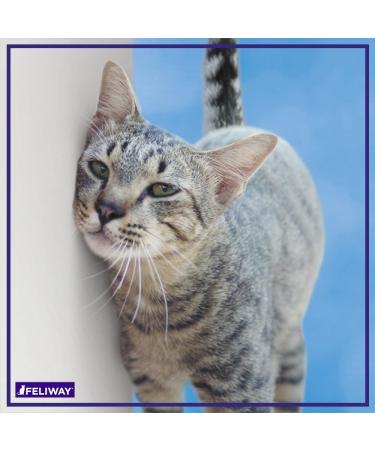 FELIWAY CLASSIC Diffuser Refill 3-Pack - Use with FELIWAY Cat Diffusers - Comforts Cats at Home & Helps Control Unwanted Urine Spraying Cat Scratching and Hiding (90 Day Supply FELIWAY Refill C238) - Buy Online on SooperMarket.com