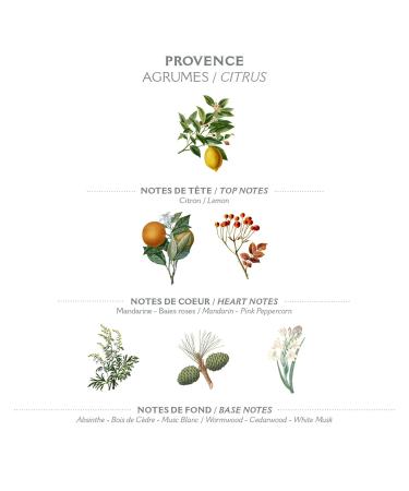 Panier des Sens Provence Hand Cream with Shea Butter and Olive Oil - 2.6floz/75ml - Buy Online on SooperMarket.com