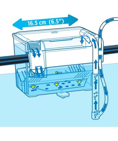 Fluval Medium Multi-Chamber Holding and Breeding Box - Ideal for Fish Breeding and Holding - Buy Online on SooperMarket.com