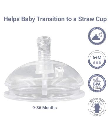 Anpei Soft Spout & Straw Nipple Set for Comotomo Baby Bottles - Pack of 2 with Storage Case - Buy Online on SooperMarket.com