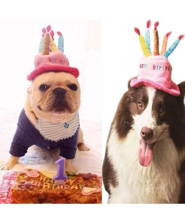 Cute Birthday Cake Hat for Pets with 5 Color Candles - Blue - Buy Online on SooperMarket.com