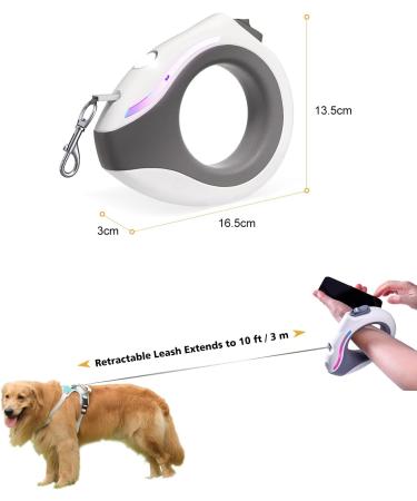 Blanlody Roller Leash for Large Dogs (Up to 80kg) - 3m Leash with Rubberized Handle Water Bowl & Decorative Bags (Green) | Shop Now!  - Buy Online on SooperMarket.com