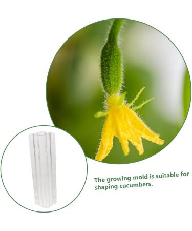 Toddmomy 2pcs Vegetable Shaping Clear Fruit Vegetable Maker Cucumber Shaper Square - Buy Online on SooperMarket.com