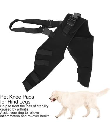BORDSTRACT Dog Leg Braces for Hind Leg Adjustable Dog Knee Brace for Cruciate Ligament Injury Protecting Wounds Surgery Healing Arthritis Joint Pain and Muscle Sore HJ25 L - Buy Online on SooperMarket.com