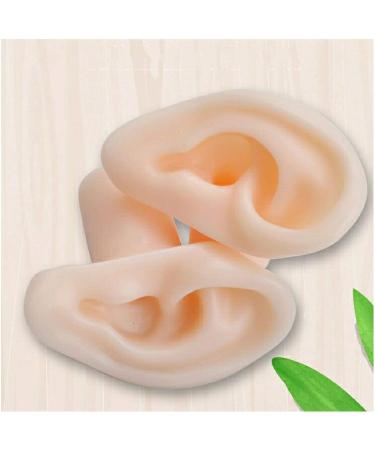 Soft Silicone Ear Template - Artificial Simulation Human Simulation Ear - Eare Acupuncture Acupuncture Point Template - for Acupuncture Soujons Loops - Buy Online on SooperMarket.com