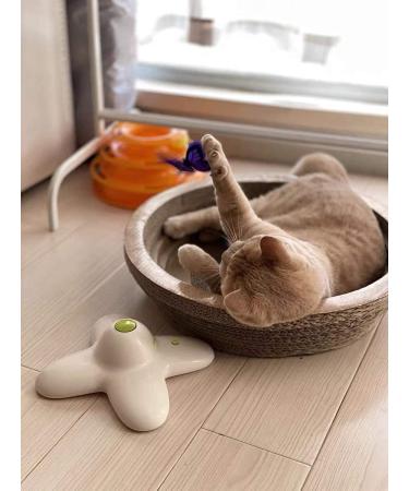 All For Paws Interactive Cat Toy - Butterfly with 2 Replacement Wings | Engaging Indoor Play for Cats - Buy Online on SooperMarket.com