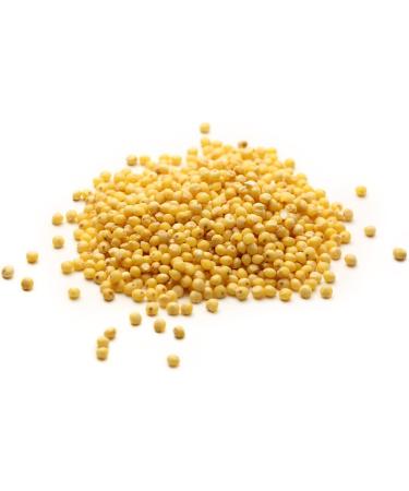 Manor Springs Organic Millet Grain 500g - Premium Quality, Gluten-Free Whole Grain - Buy Online on SooperMarket.com