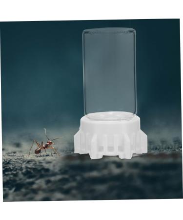 Yardwe Ant Water Dispenser - Ideal for Ant Nests & Feeding | 6.00x3.70x3.70cm | International Shipping - Buy Online on SooperMarket.com
