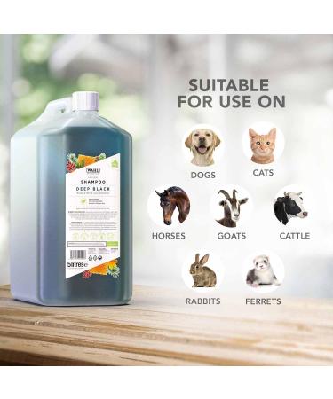 WAHL Shampoo for Pets - Jet Black 5L | Premium Pet Care International Shipping - Buy Online on SooperMarket.com