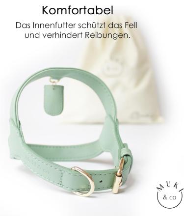 Muki & Co Double Dog Dishes - Adjustable Mint Green - Safe & Comfortable for Extra Small Small & Medium Dogs (Size S 38-45 cm) - Buy Online on SooperMarket.com
