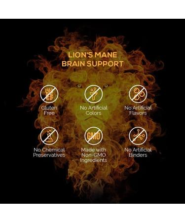 Lion s Mane Mushroom Capsules by Intelligent Labs Extracted from The Fruiting Bodies of Hericium Erinaceus Minimum 25% Beta Glucans No Grain Fillers 2-Month Supply - Buy Online on SooperMarket.com