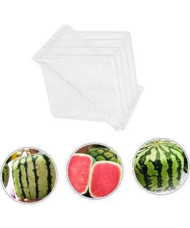 OSALADI 2pcs Pumpkin Fruit Tools Vegetable Growth Mold Large Pole Shaping Mold Watermelon Square Former 15x15cmx2pcs Transparentx2pcs - Buy Online on SooperMarket.com