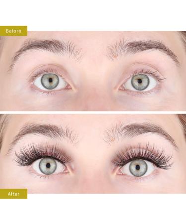 LASHVIEW 3D Faux Eyelashes - Natural Look Wispies, Soft & Reusable | 5 Pair Pack - Buy Online on SooperMarket.com