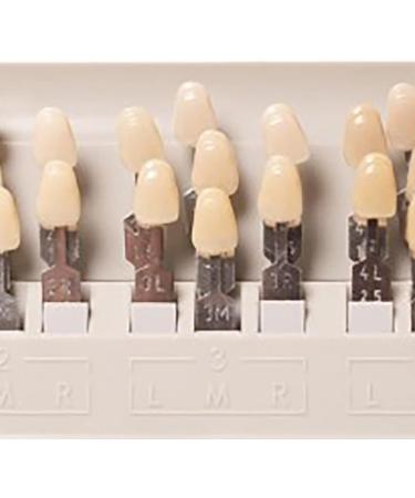 29 Color Porcelain Tooth Whitening Color Keys - Removable Tooth Elevation Table for Accurate Shade Matching - Buy Online on SooperMarket.com