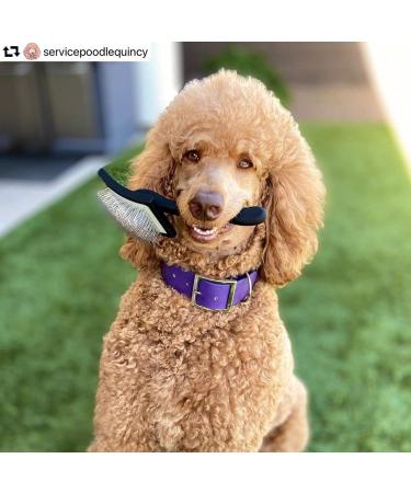 Chris Christensen Big K Dog Slicker Brush - Professional Grooming Tool for Fluffing, Detangling, and Styling - Large Black Brush for Time-Efficient Results - Buy Online on SooperMarket.com