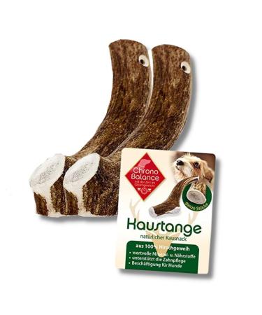 Chronobalance XS (2 Ser Set) Evest Anti for dogs Whole pieces as a cake tool: 100% deer antlers dog toy treat dental care kausnack antler chewing bone of course without additives XS - 2 pieces