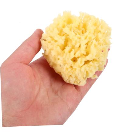 Gogogmee Moisturizer Natural Sponges for Bathing Natural Bath Sponge Sea Sponges for Shower Body Sponges Sponge for Shower Bathing Sponge Natural Sponges for Body Shower Sponge - Buy Online on SooperMarket.com