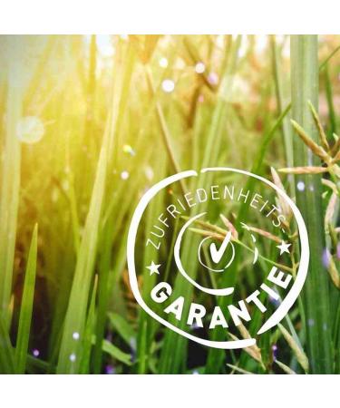 Biotiva Guarana Powder Organic - 250g Pure Guarana Powder - Energizer - Guaranteed Without additives - Made and Controlled in Germany (DE- KO-005) - 100% Vegan - Buy Online on SooperMarket.com