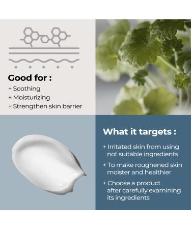 BACIEL Hydra Barrier CICA Cream - Korean Facial Moisturizer with Hyaluronic Acid Ceramide & Niacinamide | 3.38 fl.oz - International Shipping Available - Buy Online on SooperMarket.com