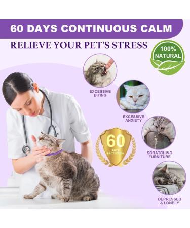Calming Collar for Cats - Anxiety Relief and Natural Calm Treatment - Adjustable, Waterproof, Pheromone-Infused - 2 Pcs Purple - 60 Day Supply - for Kittens and Medium to Large Cats - Buy Online on SooperMarket.com
