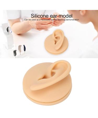 Human Ear Model Left Ear Soft Lifelike Fake Ear Model for Teaching Demonstration - Buy Online on SooperMarket.com