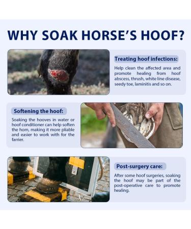 COMFPET Hoof Soaking Boot for Horse Hoof Care - White Line Disease, Thrush, Abscess Treatment - Blue, 1 Piece - Buy Online on SooperMarket.com