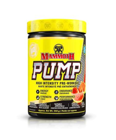 MAMMOTH PUMP Pre Workout Powder Superior Muscle Pumps Increase Strength & Endurance Explosive Power & Energy Supplement Heightened Focus Quick Recovery Reduced Soreness (60 Serves Watermelon) Watermelon 1 Count (Pack of 1)