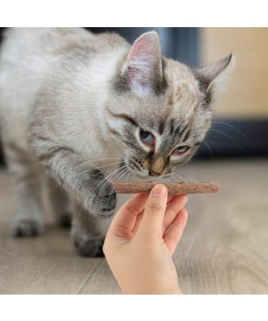 tiopeia 30 PCS Cat Catnip Sticks Natural Matatabi Chew Sticks as Dental Treat Teeth Grinding Chew Toys for Cat Kitten Kitty - Buy Online on SooperMarket.com