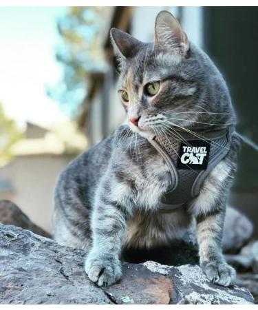 Travel Cat Harness and Leash Set - Adjustable Comfort Fit Mesh Vest Harnesses with Reflective Strap - Snug Fit Harness for Cats Kitten for Outdoor Walking Grey Large (Chest 16-19 inch) Grey L - Buy Online on SooperMarket.com