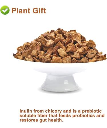 Flower 2 (180G-Chicory Root) - Buy Online on SooperMarket.com