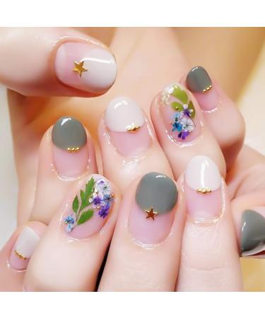Dokpav 2 Boxes Dried Flowers for Nail Art - 24PC Green Leaves & Real Flower Set with Curved Tweezers | 3D Nail Art Accessories for Stunning Nail Decor - Buy Online on SooperMarket.com