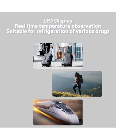 Portable Electric Mini Cooler Box - Insulin Cooler Case with Fast Cooling & LED Display - Buy Online on SooperMarket.com