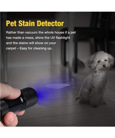 TOINGO UV Flashlight 9 LED 395nm Blacklight Detector for Dog Urine & Pet Stains - Buy Online on SooperMarket.com