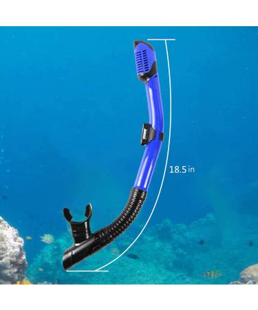 SACBOLA Dry Snorkel- Top Stop Valve, Silicone Mouthpiece for Snorkeling, Free Diving, Swimming - Blue/Clear - Buy Online on SooperMarket.com