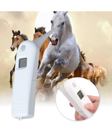 Pet Thermometer With Probe For Accurate Temperature Detection Suitable For Cats Dogs LCD Display For Cat Dog Thermometer Veterinary Thermometer Digital For Small Animals Large Animals Dogs Horse Cats - Buy Online on SooperMarket.com