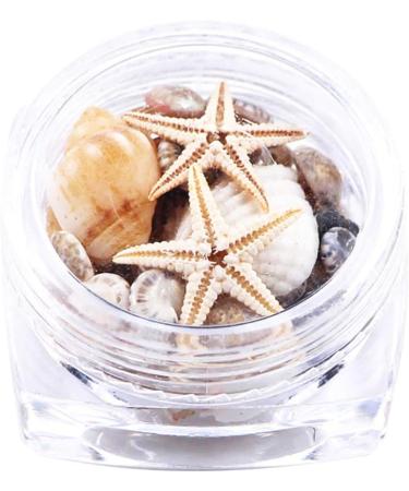 2 Boxes 3d Natural Nail Art Decoration Mini Conch Shells Starfish Sea Beach Ornaments Manicure Tools for Diy - Buy Online on SooperMarket.com