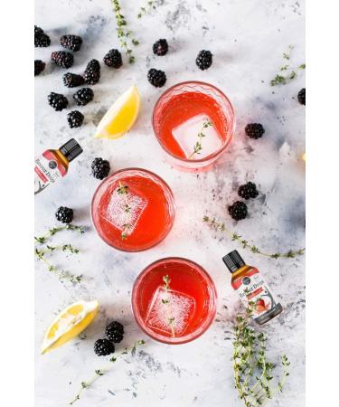 Borchers Flavor Drops - Zero Calorie Raspberry Liquid for Cooking Baking & Drinks | 30ml (1 Pack) - Buy Online on SooperMarket.com