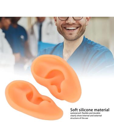 Soft Silicone Human Ear Model Set for Acupuncture Practice - 2 Pieces, Clear Structure - Ideal for Hospitals - Buy Online on SooperMarket.com
