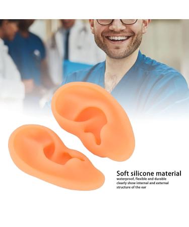 Ear Model ANGGREK 2 Pieces Ear Modeling Tools Hearing Amplifier Dispalying Assistance Display Ear Model Ear Wraps for Teaching Replacement - Buy Online on SooperMarket.com