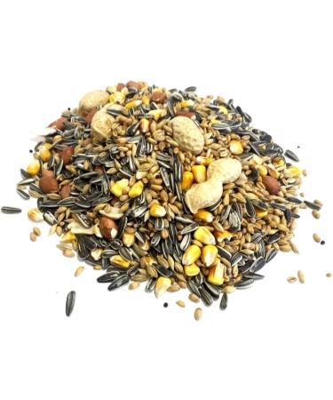 Squirrel Mixture 500g Premium Wild Life Food Garden Seed Feed SMW