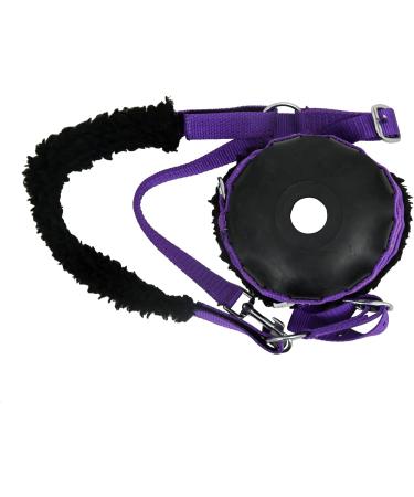 Buy SIE Muzzle for Horses - Violet Cob for Pasture Use | International Shipping Available - Buy Online on SooperMarket.com